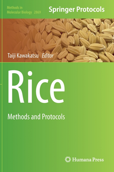 Rice