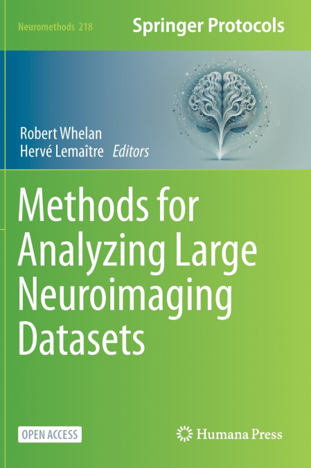 Methods for Analyzing Large Neuroimaging Datasets