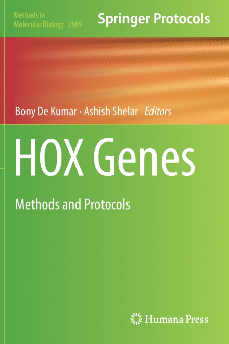 HOX Genes