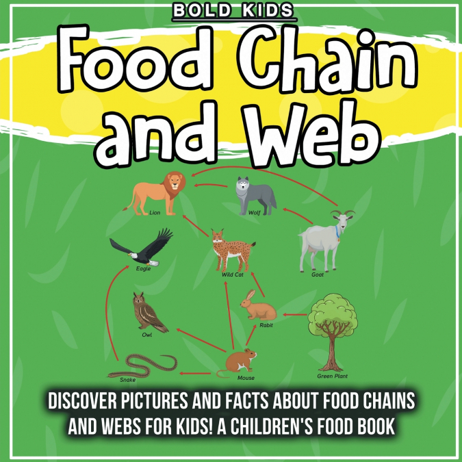 Food Chain and Web
