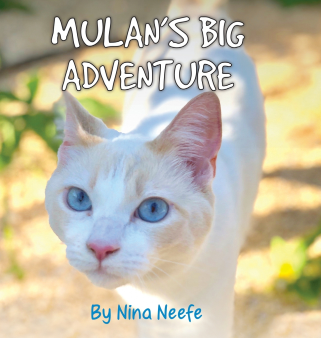 Mulan’s Big Adventure