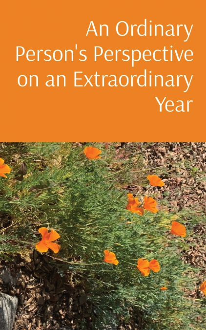 An Ordinary Person’s Perspective on an Extraordinary Year
