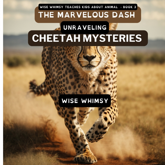 The Marvelous Dash