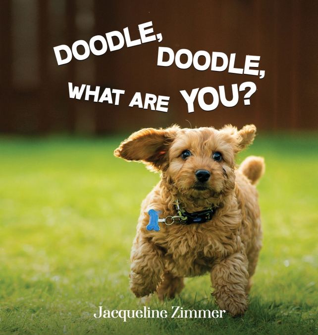DOODLE, DOODLE, WHAT ARE YOU?