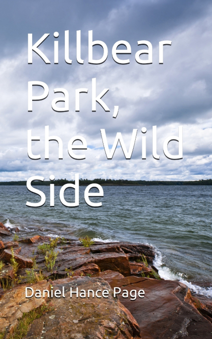 KILLBEAR PARK, THE WILD SIDE