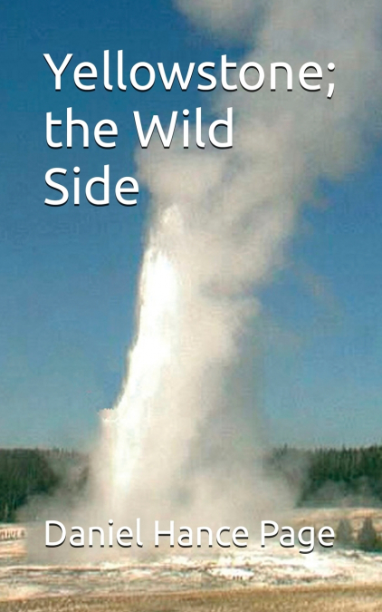 Yellowstone; the Wild Side