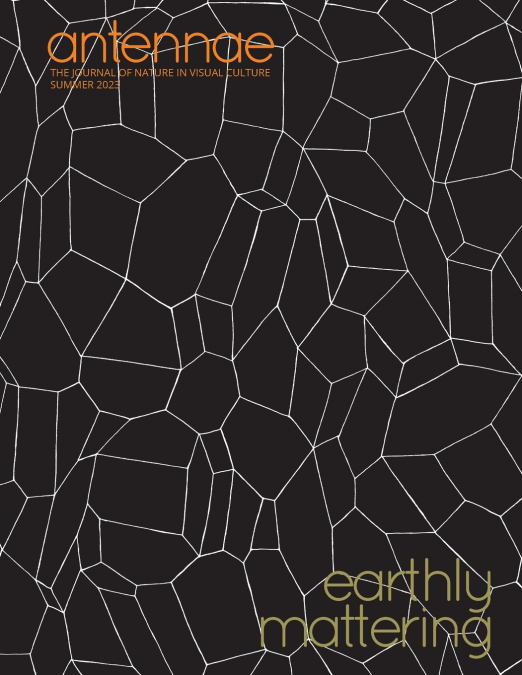 Antennae #61 Earthly Mattering