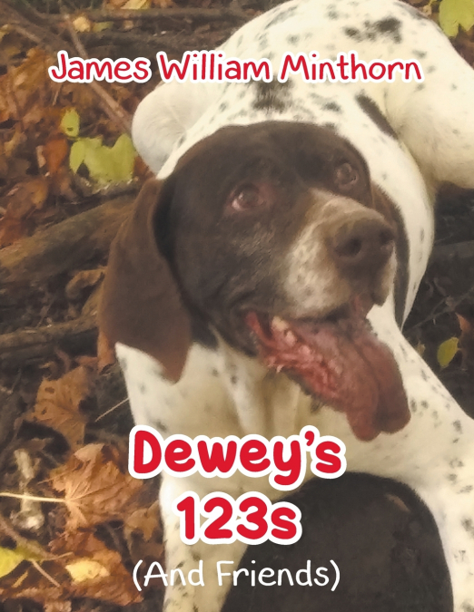 Dewey’s 123s