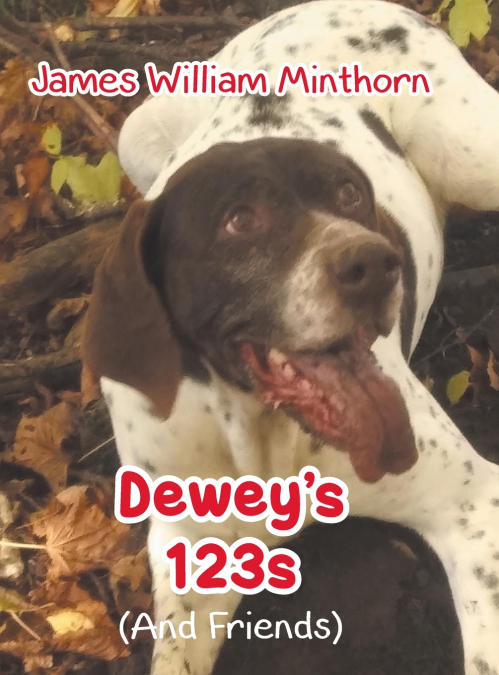 Dewey’s 123s