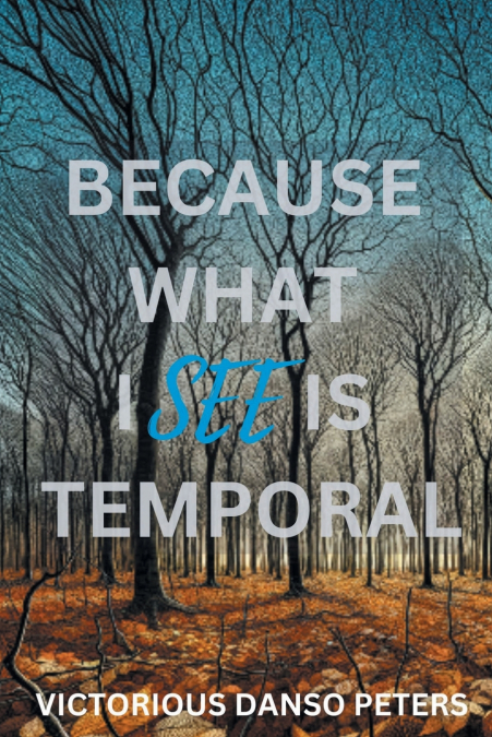 Because What I See Is Temporal