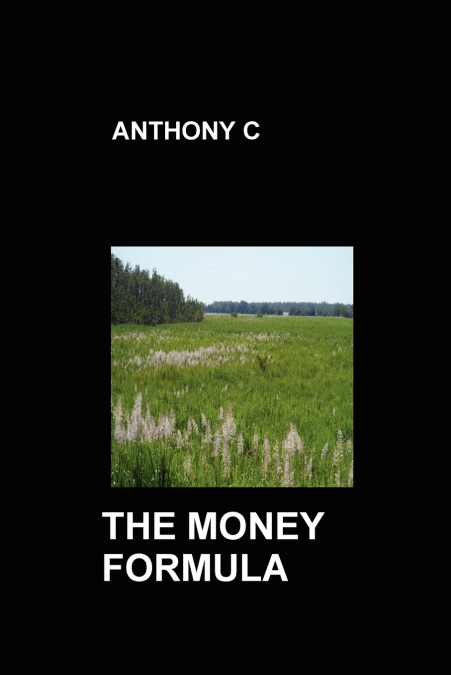THE MONEY FORMULA