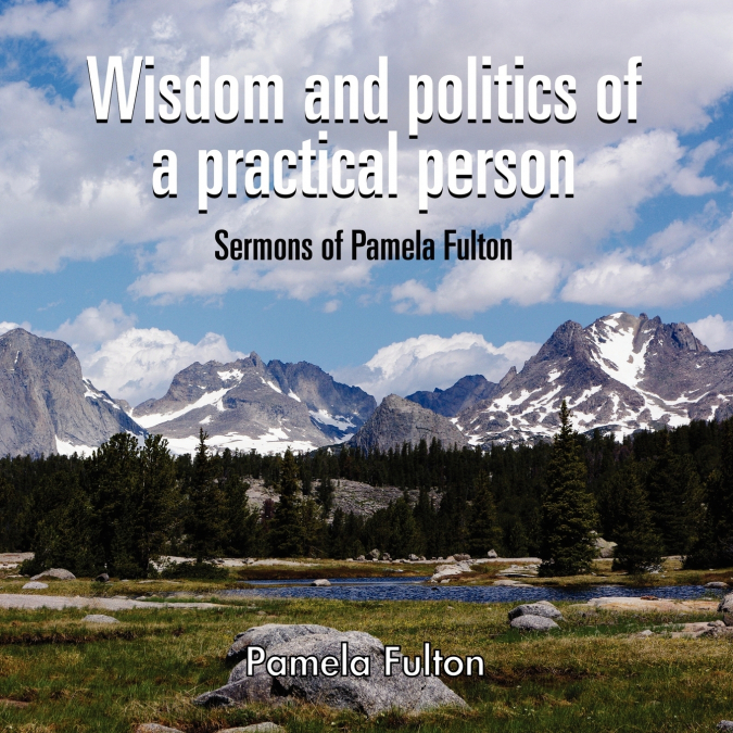 Wisdom and Politics of a Practical Person