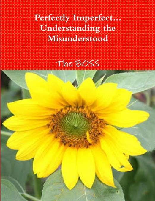 Perfectly Imperfect... Understanding the Misunderstood