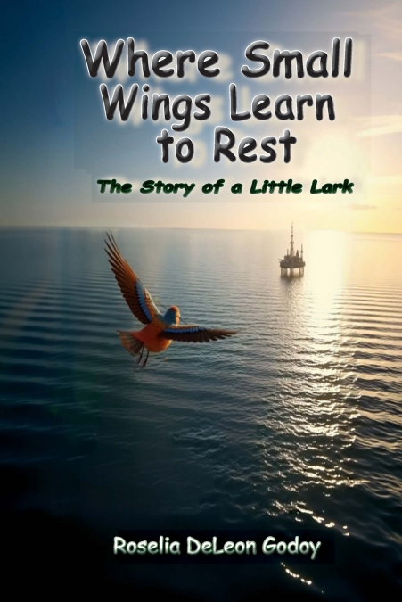 Where Small Wings Learn to Rest