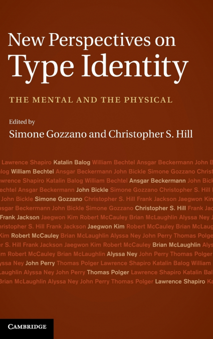 New Perspectives on Type Identity