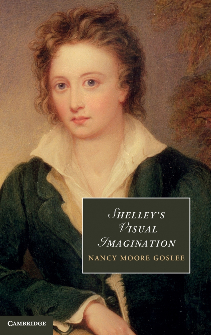 Shelley’s Visual Imagination