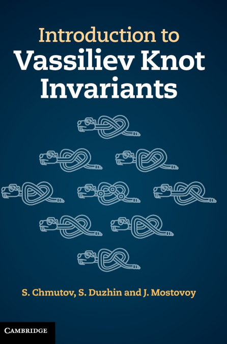 Introduction to Vassiliev Knot Invariants