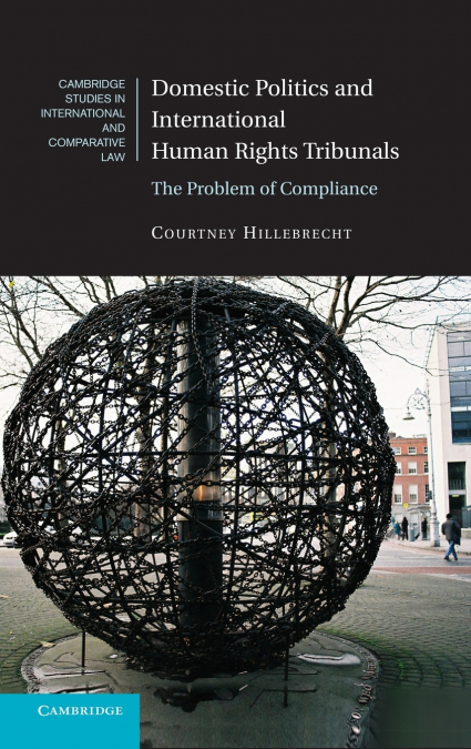 Domestic Politics and International Human Rights Tribunals