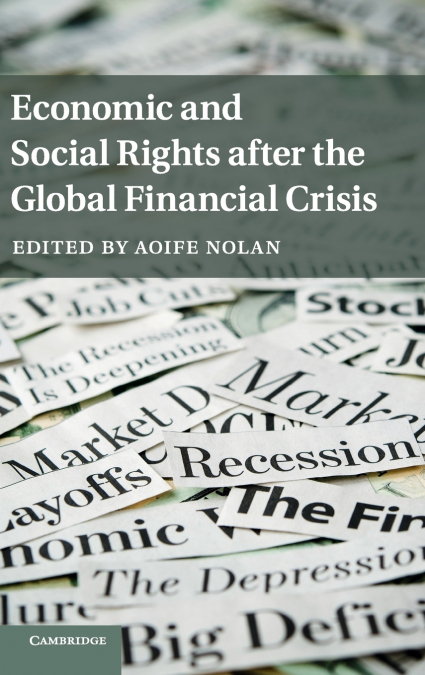 Economic and Social Rights after the Global Financial             Crisis