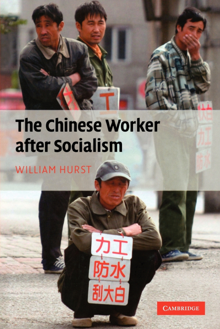 The Chinese Worker After Socialism