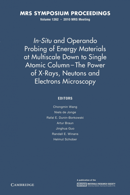 In-Situ and Operando Probing of Energy Materials at Multiscale Down to Single Atomic Column - The Power of X-Rays, Neutrons and Electron Microscopy