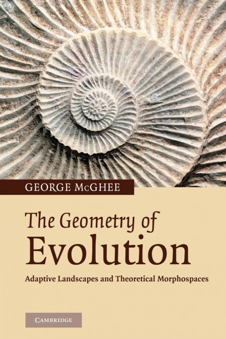 The Geometry of Evolution