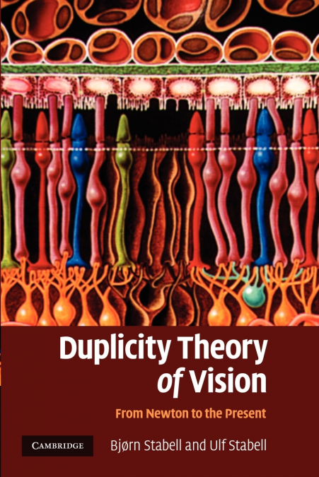 Duplicity Theory of Vision