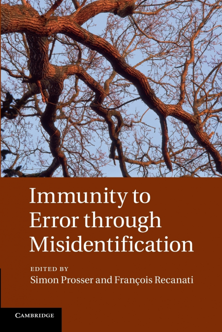 Immunity to Error Through Misidentification