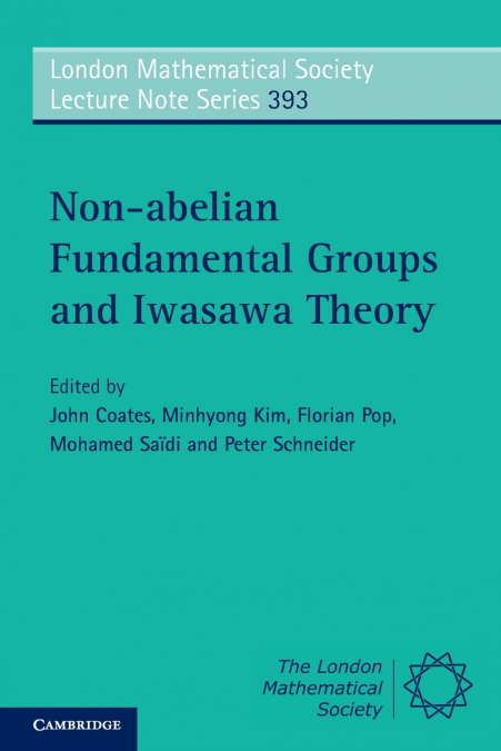 Non-abelian Fundamental Groups and Iwasawa Theory