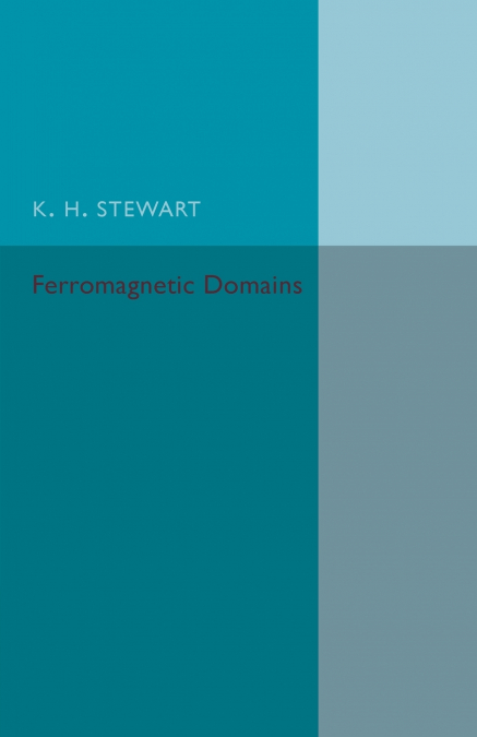 Ferromagnetic Domains