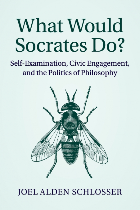 What Would Socrates Do?