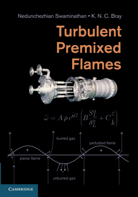 Turbulent Premixed Flames