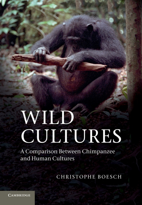 Wild Cultures