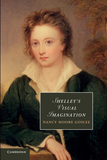 Shelley’s Visual Imagination