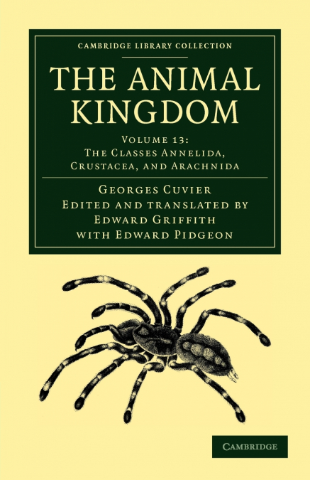 The Animal Kingdom - Volume 13