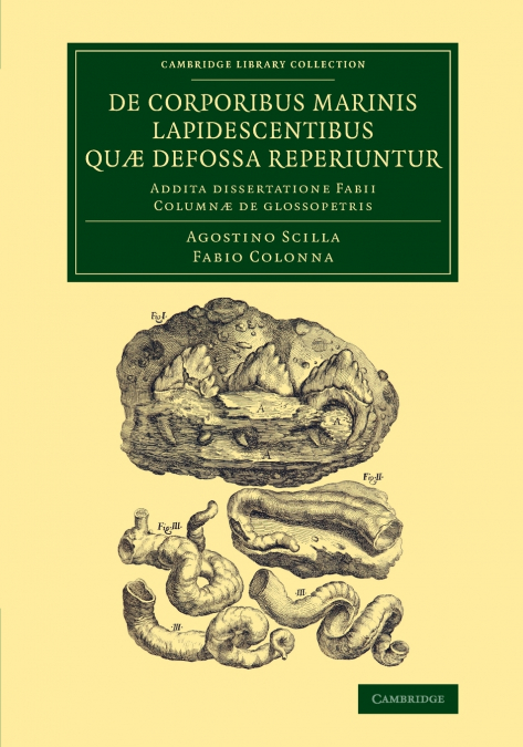 De corporibus marinis lapidescentibus quæ defossa             reperiuntur