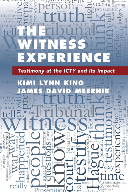 The Witness Experience