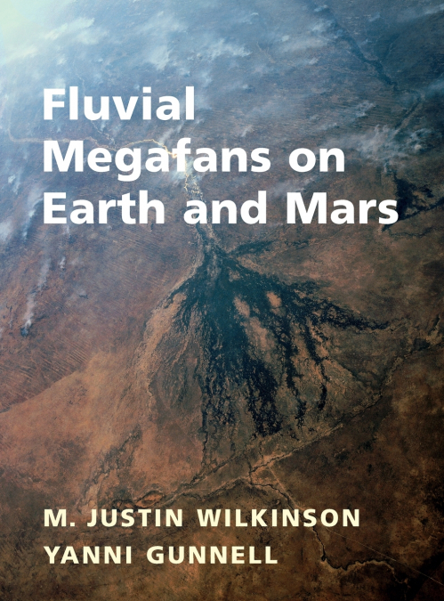 Fluvial Megafans on Earth and Mars