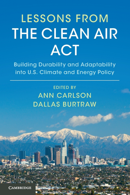 Lessons from the Clean Air Act