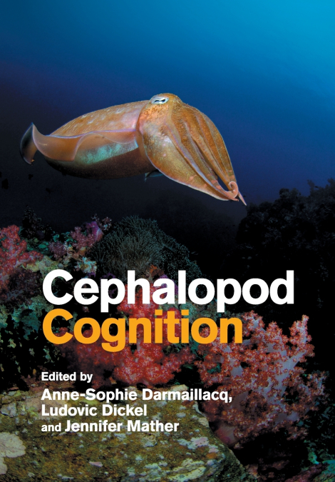 Cephalopod Cognition