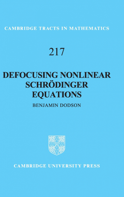 Defocusing Nonlinear Schrödinger Equations
