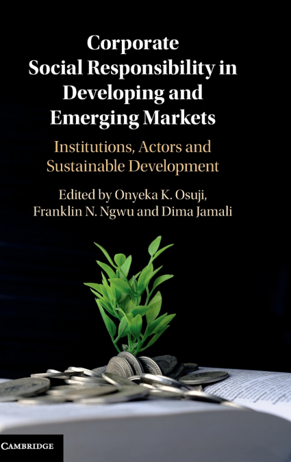Corporate Social Responsibility in Developing and Emerging Markets