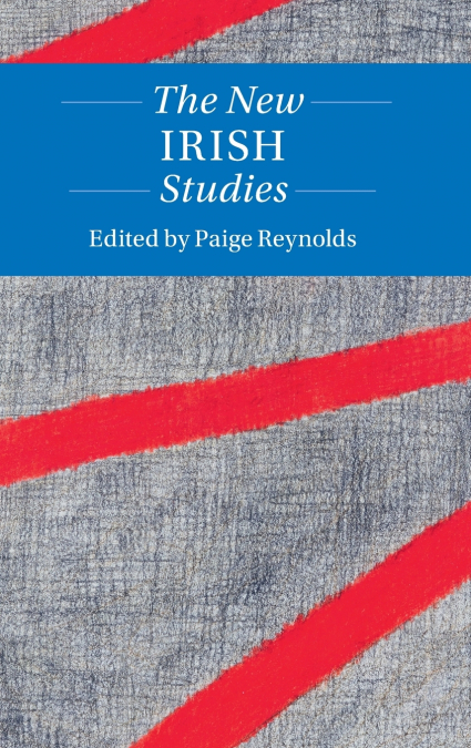 The New Irish Studies