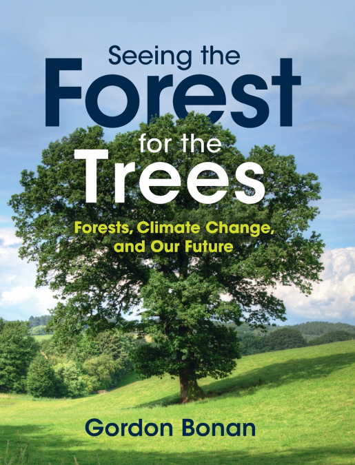 Seeing the Forest for the Trees