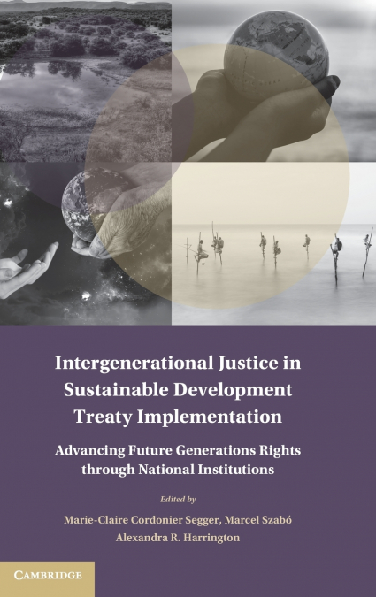 Intergenerational Justice in Sustainable Development Treaty Implementation