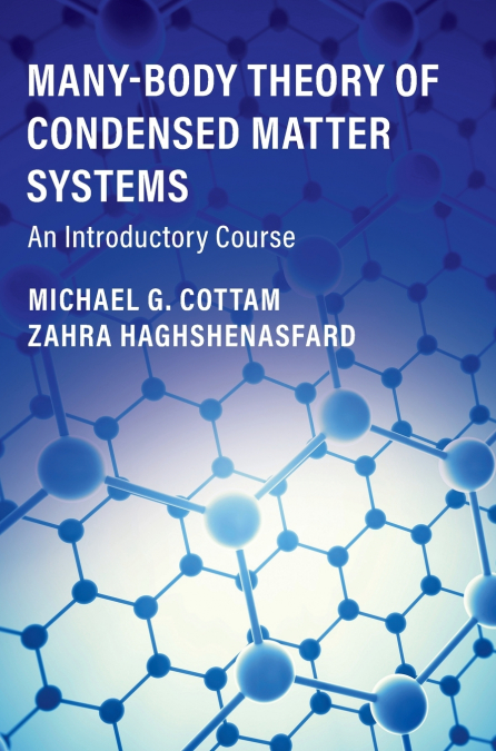 Many-Body Theory of Condensed Matter Systems