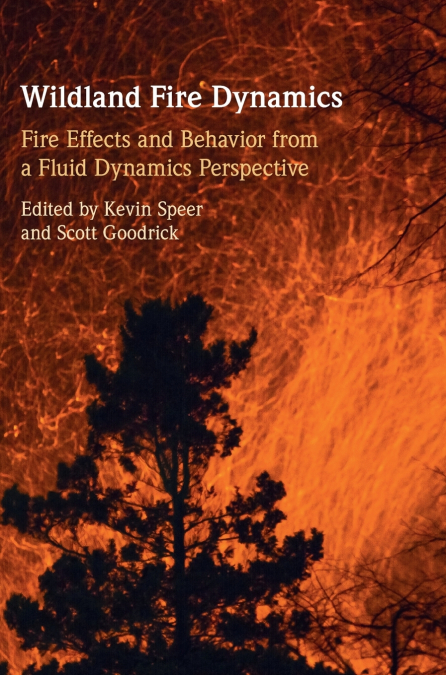 Wildland Fire Dynamics
