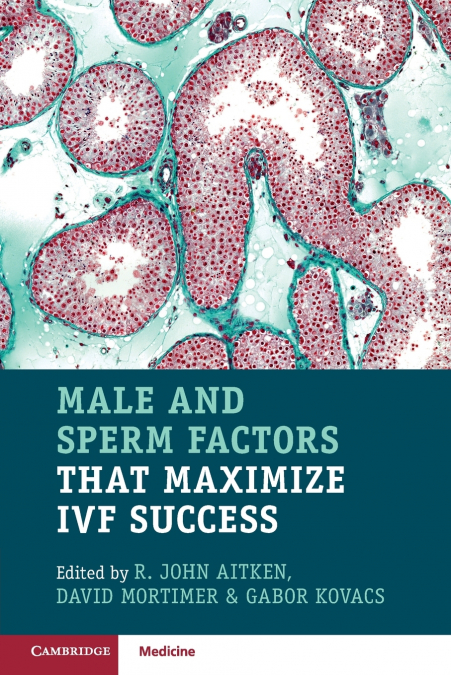 Male and Sperm Factors that Maximize IVF Success