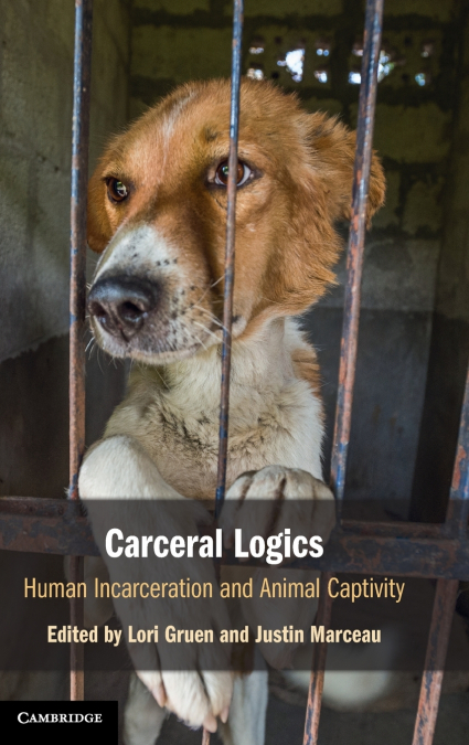 Carceral Logics