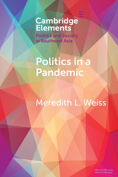 Politics in a Pandemic
